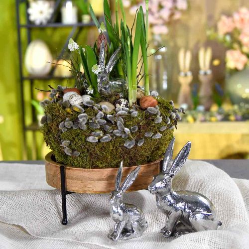 Floristik24 Apvalus medinis padėklas, dubuo su kojelėmis, medinė dekoracija sodinimui natūrali, juoda Ø19,5cm H11cm