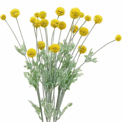 Floristik24 Būgnai geltonos dirbtinės Craspedia šilko gėlės