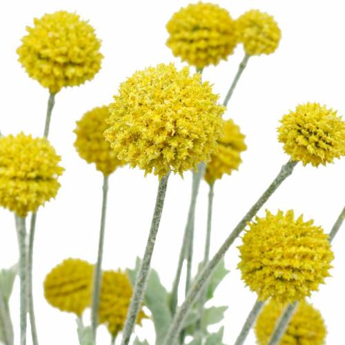 daiktų Būgnai geltonos dirbtinės Craspedia šilko gėlės