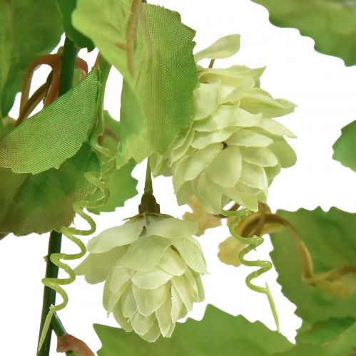 Floristik24 Lapų girlianda apynių girlianda žalia dirbtinė L180cm