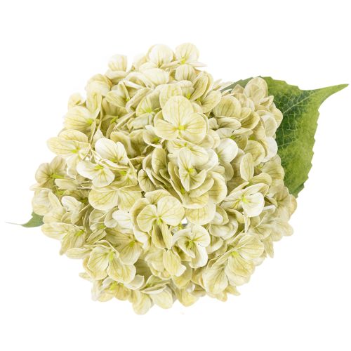 Dirbtinė hortenzija su ilgu stiebu ir lapais, 60 cm | Floristik24.lt