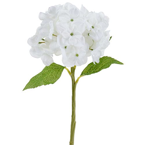 Hortenzija 35 cm balta
