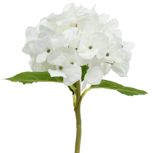 Dekoratyvinė hortenzija balta 36cm