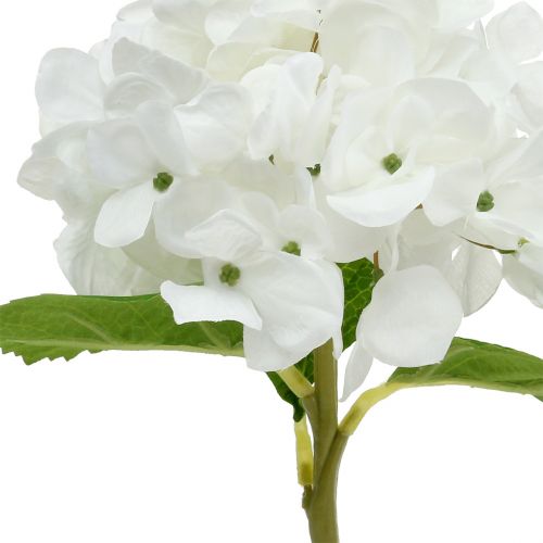Floristik24 Dekoratyvinė hortenzija balta 36cm