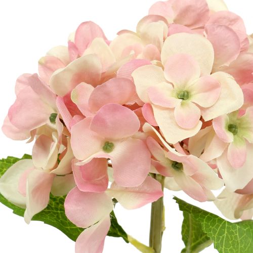 daiktų Hortenzija rožinė, kreminė 36cm