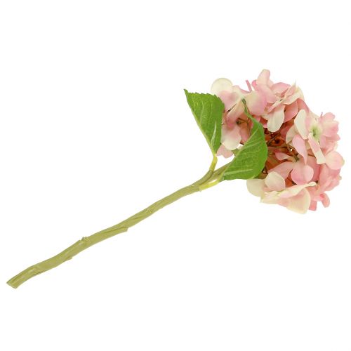 Floristik24 Hortenzija rožinė, kreminė 36cm