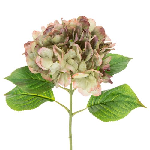 Dirbtinė hortenzija su koteliu, 46 cm pirkti | Floristik24.lt