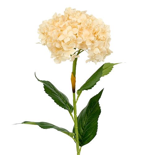 Floristik24 Hortenzijos kremas 80cm 1vnt