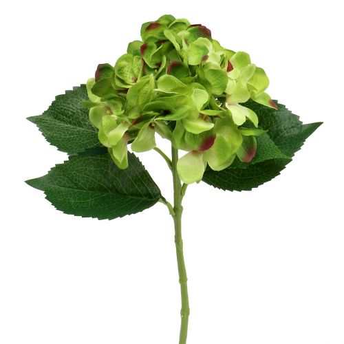 Hortenzijos žalia dirbtinė dekoracijai L54cm