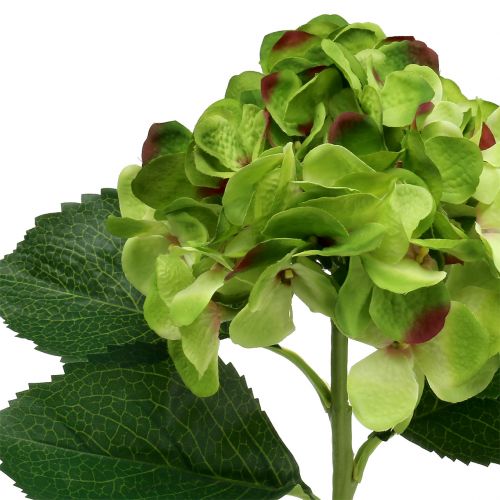 Floristik24 Hortenzijos žalia dirbtinė dekoracijai L54cm
