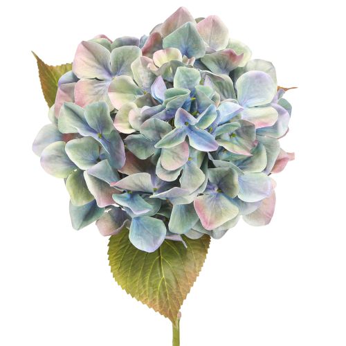 Floristik24 Hortenzija dirbtinė gėlė mėlyna violetinė Ø18cm L69cm 2vnt