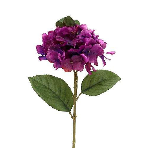 Floristik24 Hortenzija violetinė 30cm 3vnt