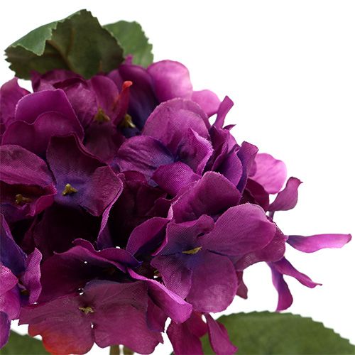 Floristik24 Hortenzija violetinė 30cm 3vnt