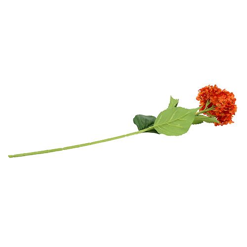 Floristik24 Hortenzija oranžinė 80cm 1vnt