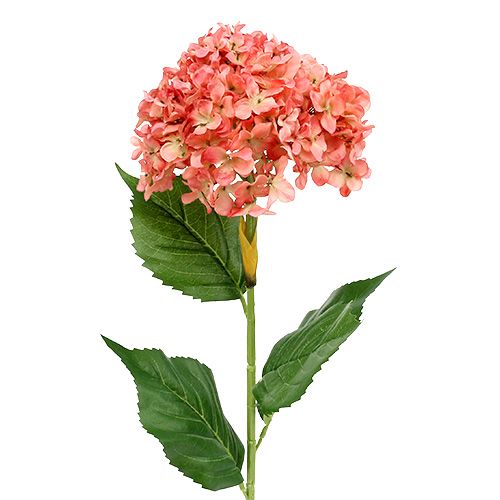 daiktų Rožinė hortenzija 80cm 1 vnt