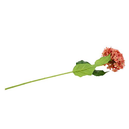 daiktų Rožinė hortenzija 80cm 1 vnt