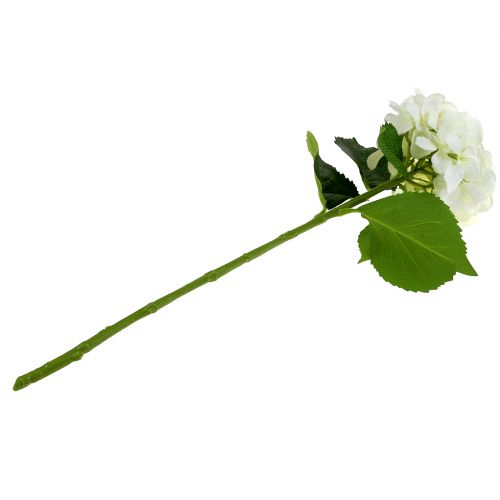 Floristik24 Hortenzija balta L54cm 1vnt