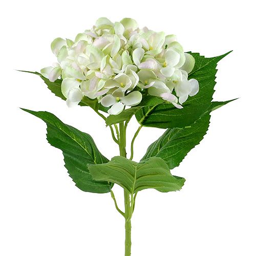 Hortenzija balta-žalia 60cm | Floristik24.lt