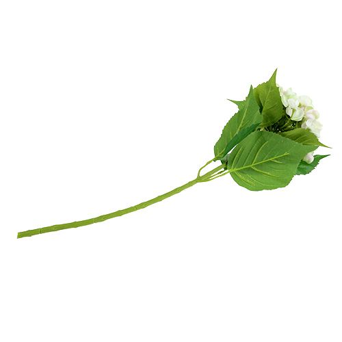 Hortenzija balta-žalia 60cm | Floristik24.lt