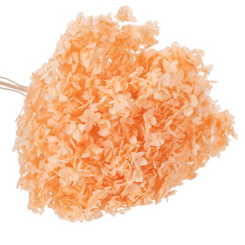 daiktų Džiovintų hortenzijų puokštė elegantiškoms namų dekoracijoms, 65 cm