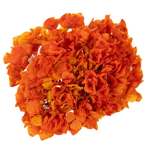 Hortenzija, konservuota ir dažyta, dideli žiedai su ilgu stiebu, 60 cm | Floristik24.lt