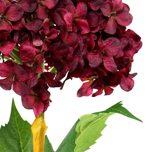 Floristik24 Hortenzija dirbtinė tamsiai raudona 80cm 1 vnt