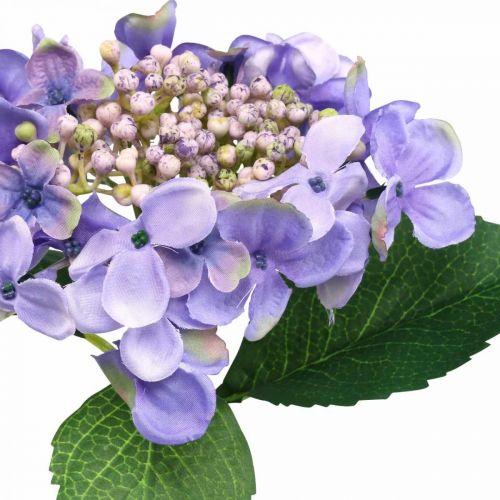 Floristik24 Dekoratyvinė hortenzija, šilkinė gėlė, dirbtinis augalas violetinė L44cm