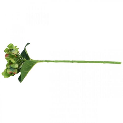 daiktų Dirbtinė hortenzija, gėlių puošmena, šilkinė gėlių žalia L44cm