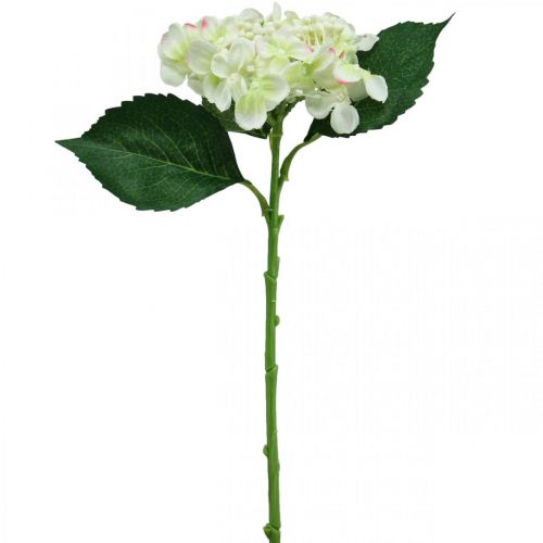 daiktų Hortenzija, šilkinė gėlė, dirbtinė gėlė stalo dekoravimui balta, žalia L44cm