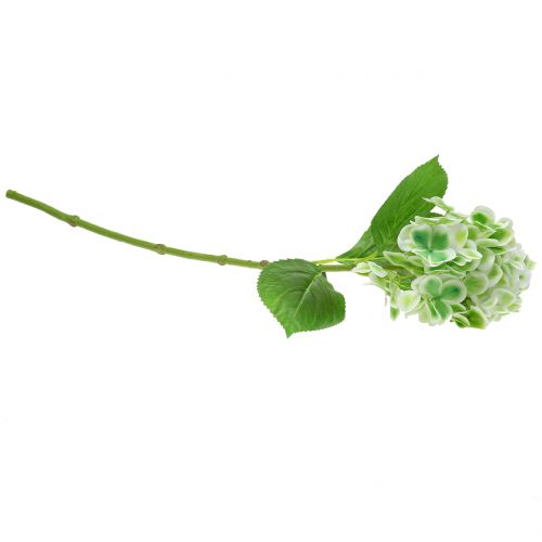 daiktų Hortenzija dirbtinė žalia, balta 68cm