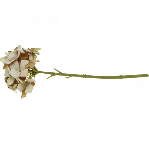 Floristik24 Hortenzija dirbtinė gėlė ruda, balta rudens puošmena šilkinė gėlė H32cm