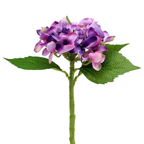 Floristik24 Hortenzija violetinė 33cm 1vnt