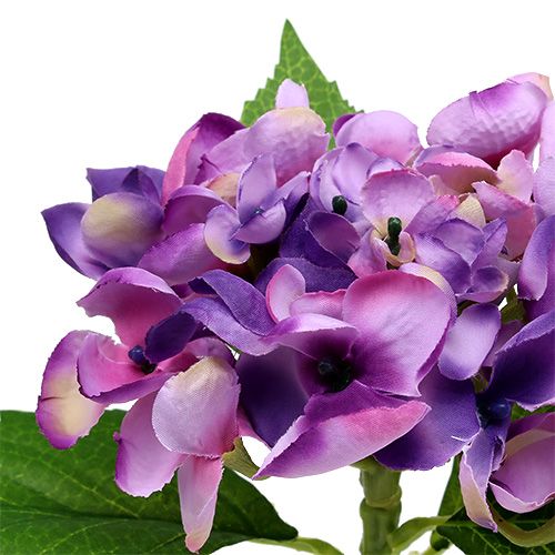 Floristik24 Hortenzija violetinė 33cm 1vnt