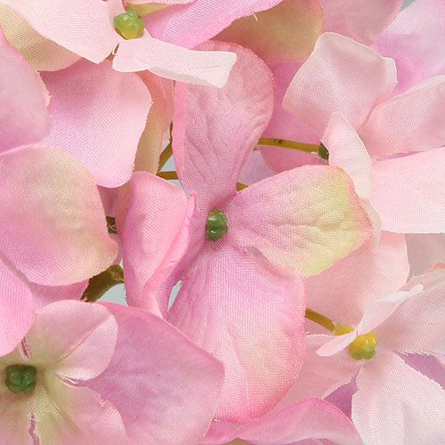daiktų Rožinė hortenzija 68 cm