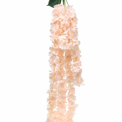 Floristik24 Dekoratyvinė gėlių girlianda dirbtinis abrikosas 135cm 5 vnt