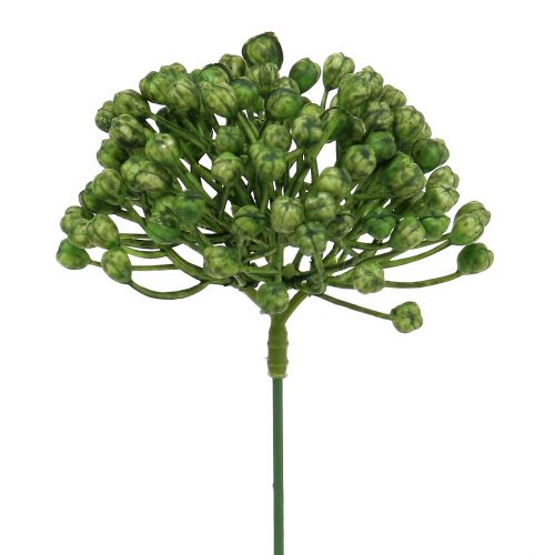 Floristik24 Hortenzijos pumpurų rinkinys 22cm žalias 12 vnt