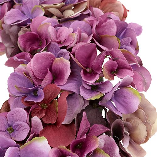 Floristik24 Hortenzijos vainikas Ø35cm violetinis, violetinis
