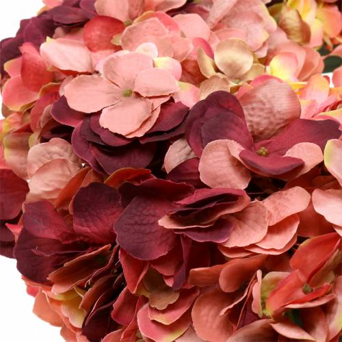 Floristik24 Hortenzijos vainikas Bordo Ø44cm