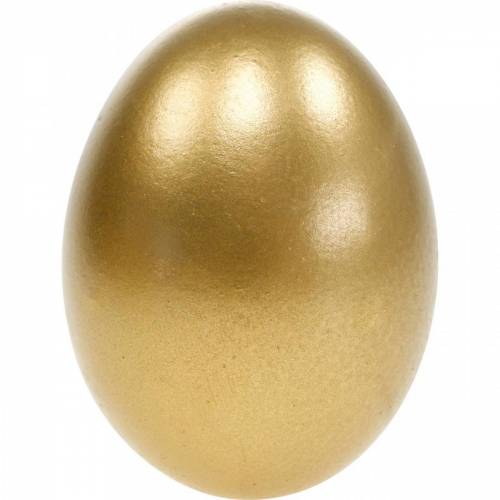 Vištienos kiaušiniai Išpūsti kiaušiniai Velykų dekoravimas Įvairių spalvų 10vnt