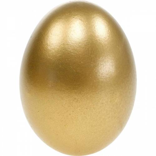 daiktų Vištienos kiaušiniai Golden Blown Eggs Velykų dekoracija 10 vnt