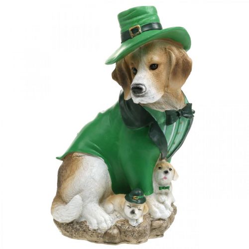 Floristik24 Biglis su kepure Šv. Patriko dienos šuo su kostiumu Sodo dekoro skalikas 24,5 cm