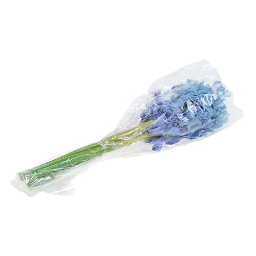 Floristik24 Hiacintas dirbtinis mėlynas, baltas 31cm 3vnt