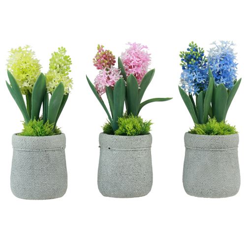 Dirbtinis hiacintas vazonėlyje geltona rožinė mėlyna H23cm 3vnt