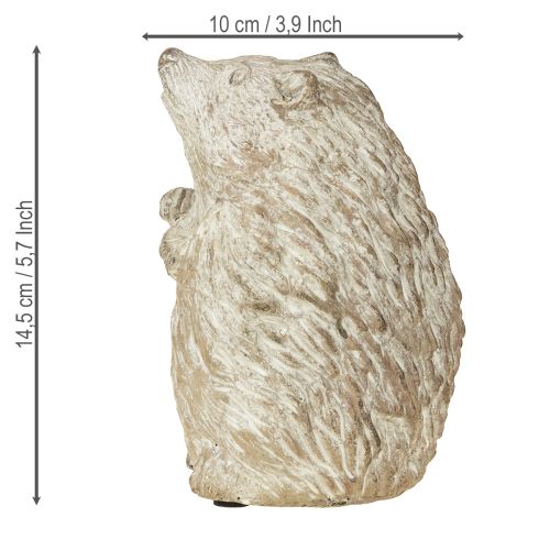 Floristik24 Ežio rudens dekoracijos figūrėlė, lieto akmens, baltai nuskalbta, aukštis 14,5 cm