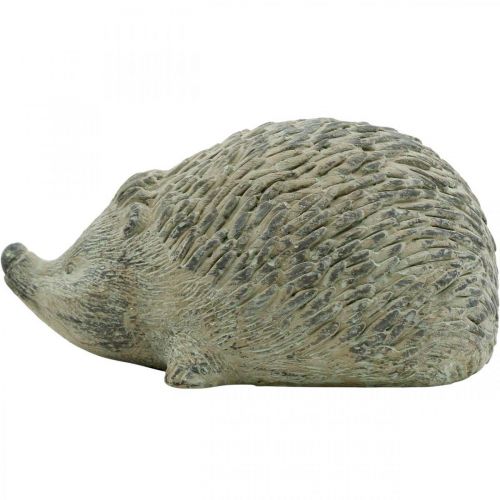 Floristik24 Dekoratyvinė figūrėlė ežiukas 22cm sodo puošmena rudens senovinė žalia 20 × 12 × H10cm