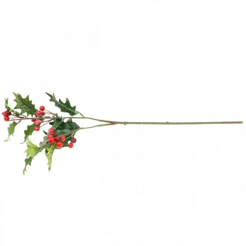 Floristik24 Dirbtinė bugienio šakelė, žieminės uogos, kalėdinės dekoracijos, bugiena apsnigta žalia, raudona L63cm