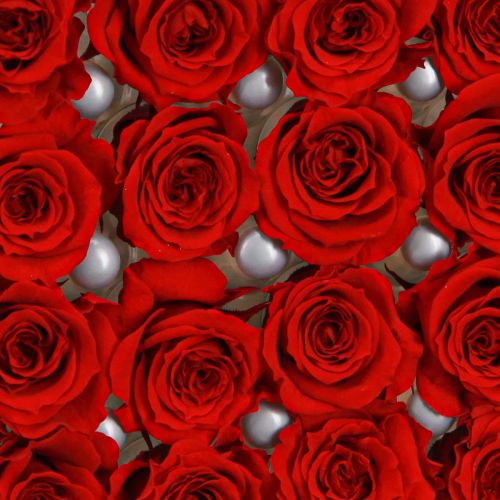 daiktų „Infinity Roses“ tikros gėlės, mini rožių galvutės, raudonos, Ø3cm, 16 vnt.