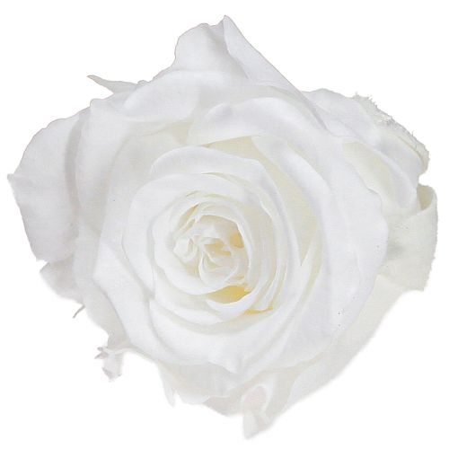 „Infinity Roses“ tikrų rožių galvučių mini rožės baltos Ø3cm 16 vnt.