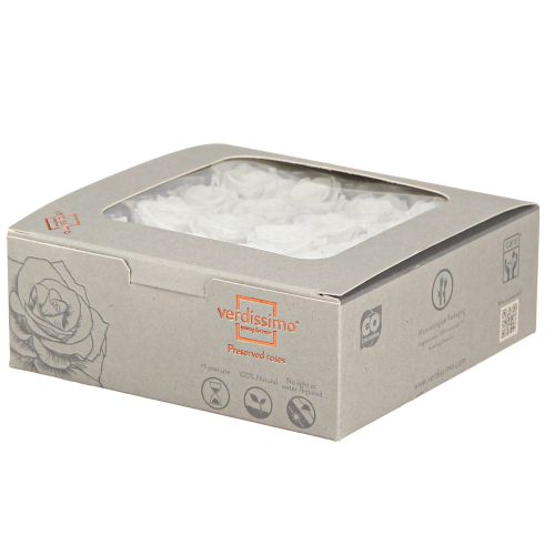 daiktų „Infinity Roses“ tikrų rožių galvučių mini rožės baltos Ø3cm 16 vnt.