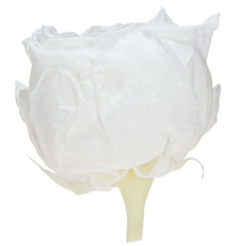 daiktų „Infinity Roses“ tikrų konservuotų rožių galvučių, baltų, Ø6 cm, 6 vnt.
